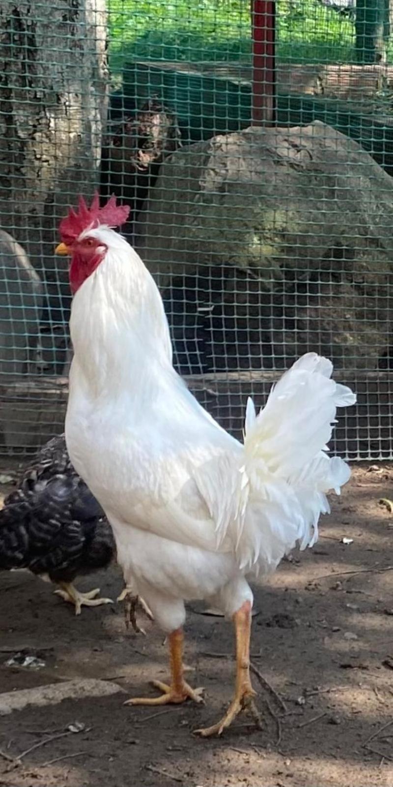 Hosteria Campestre San Fermin 라퀴라 외부 사진